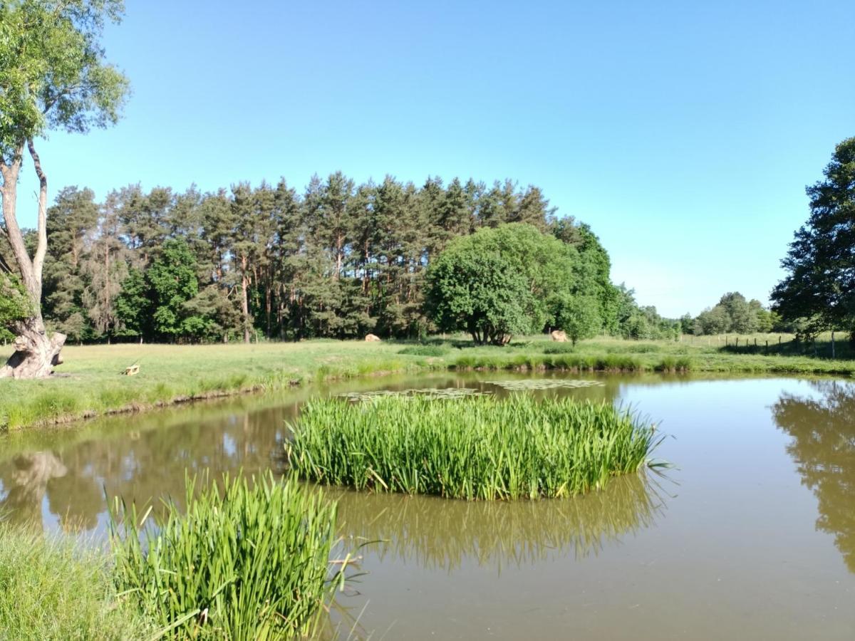 Smocze Ranczo 2 Villa Ośno Lubuskie Dış mekan fotoğraf