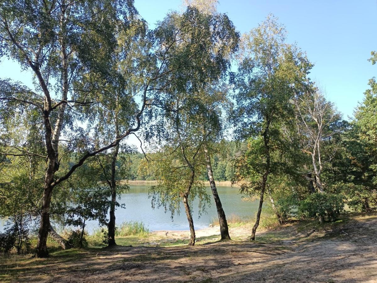 Smocze Ranczo 2 Villa Ośno Lubuskie Dış mekan fotoğraf