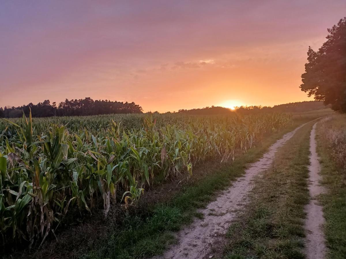 Smocze Ranczo 2 Villa Ośno Lubuskie Dış mekan fotoğraf
