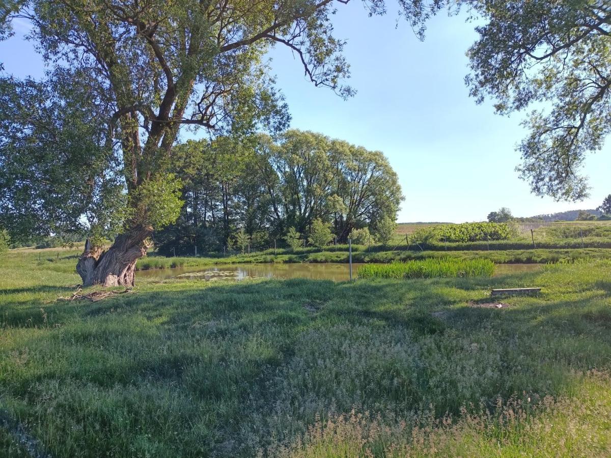 Smocze Ranczo 2 Villa Ośno Lubuskie Dış mekan fotoğraf
