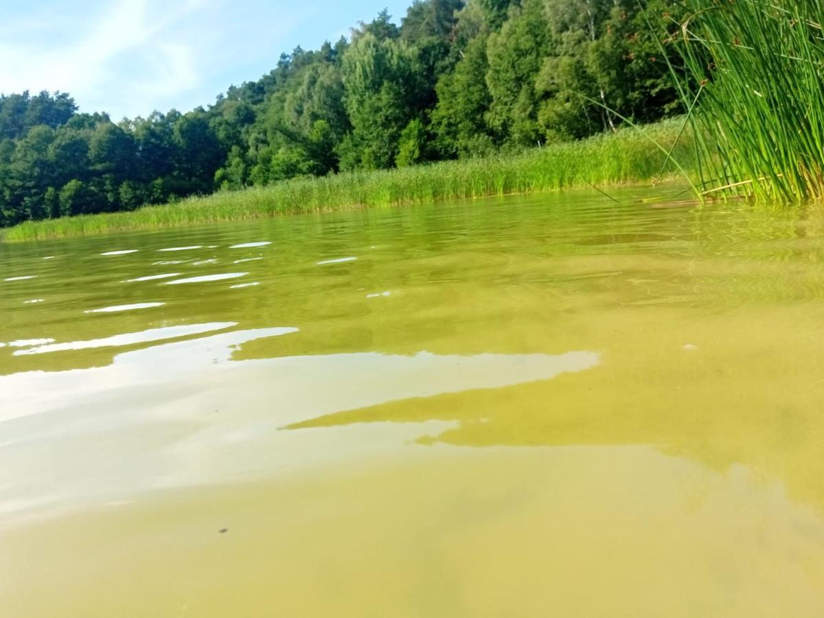 Smocze Ranczo 2 Villa Ośno Lubuskie Dış mekan fotoğraf