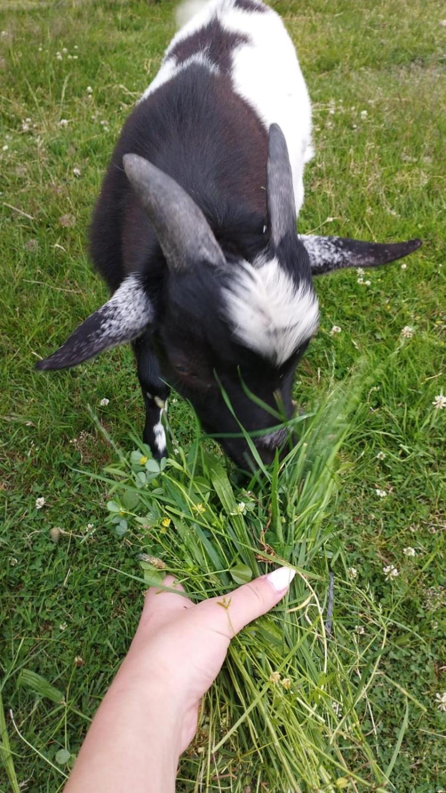 Smocze Ranczo 2 Villa Ośno Lubuskie Dış mekan fotoğraf